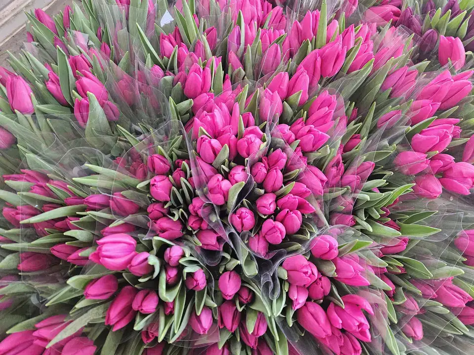 Antalya’nın Gururu Suda Laleler Kadınlar Günü'ne Hazır 5